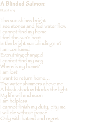 A Blinded Salmon:
Alysa Feng The sun shines bright
I see stones and feel water flow
I cannot find my home
I feel the sun's heat
Is the bright sun blinding me?
I am confused
Everything changed
I cannot find my way
Where is my home?
I am lost
I want to return home…
The water shimmers above me
A black shadow blocks the light
My life will end soon
I am helpless
I cannot finish my duty, pity me
I will die without peace
Only with hatred and regret